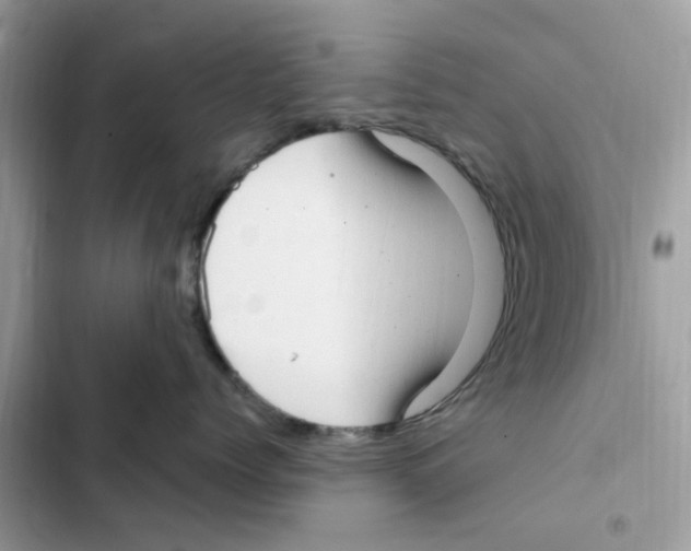 X0000101980768200808151401