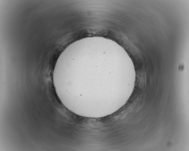 X0000101980770200808151400