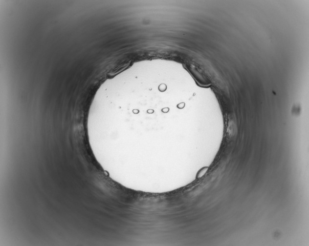 X0000101980771200808151400