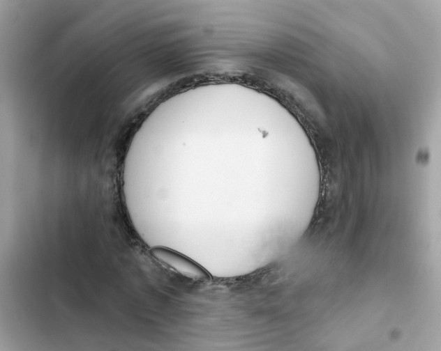 X0000101980773200808151400