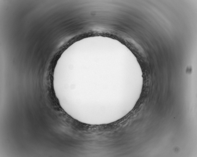 X0000101980776200808151400