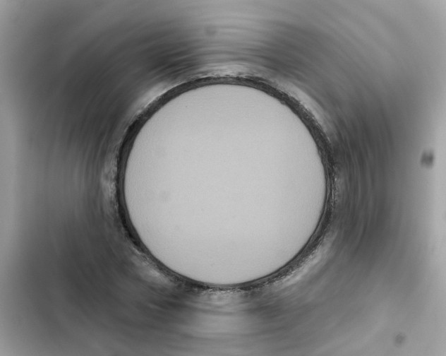 X0000101980778200808151400