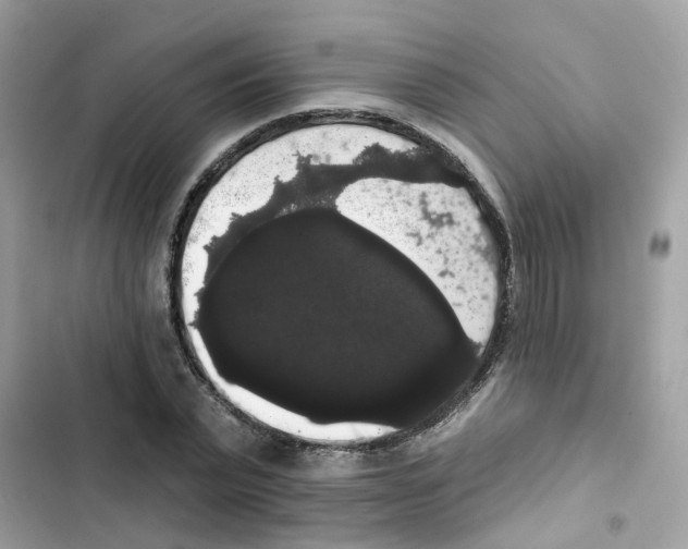 X0000101980783200808151400