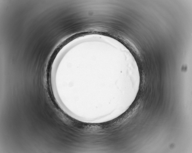 X0000101980784200808151400