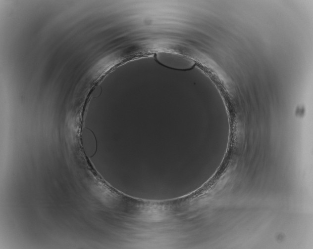 X0000101980785200808151400