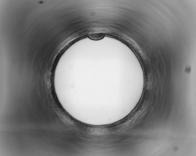 X0000101980786200808151400