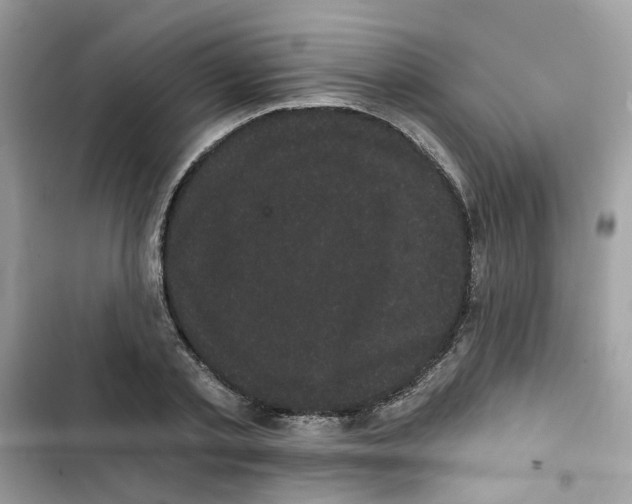 X0000101980789200808151400