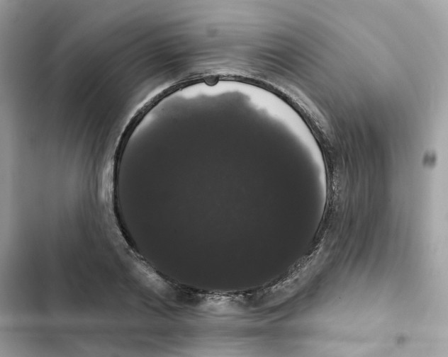 X0000101980790200808151400