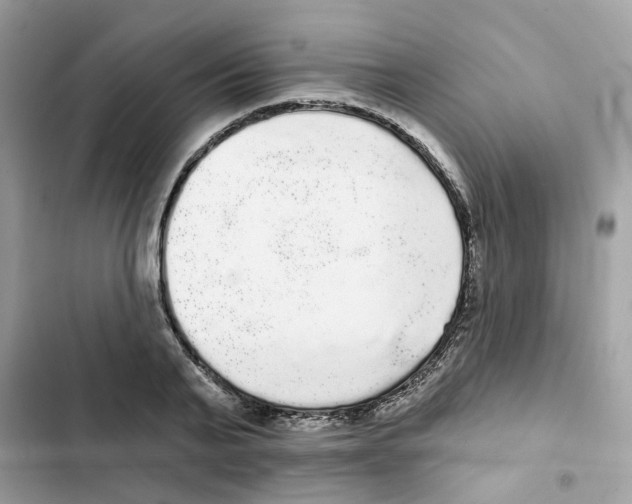 X0000101980791200808151400