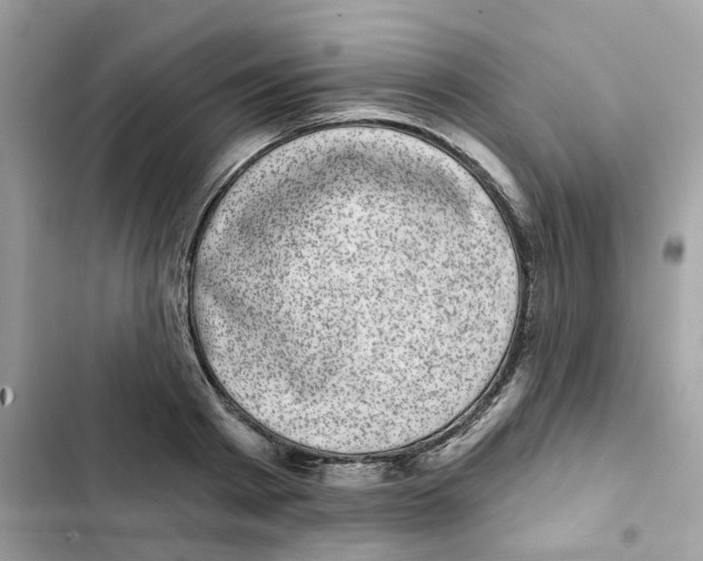 X0000101980793200808151400