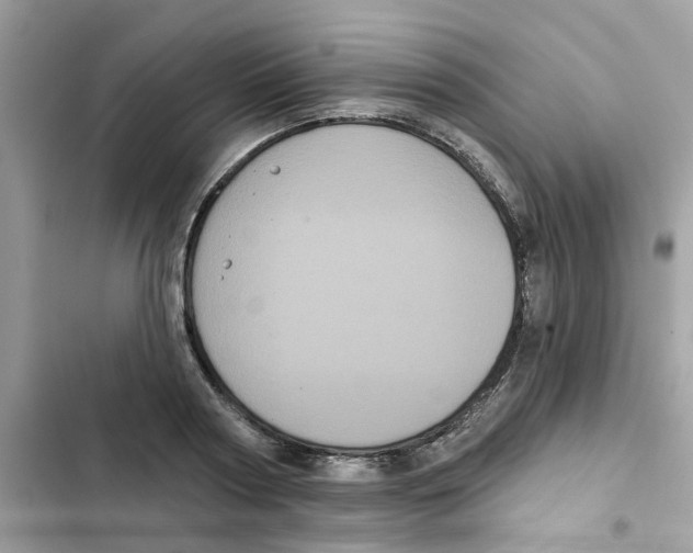 X0000101980794200808151400