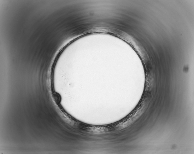 X0000101980795200808151400