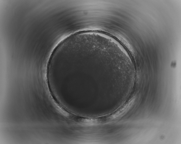 X0000101980797200808151400