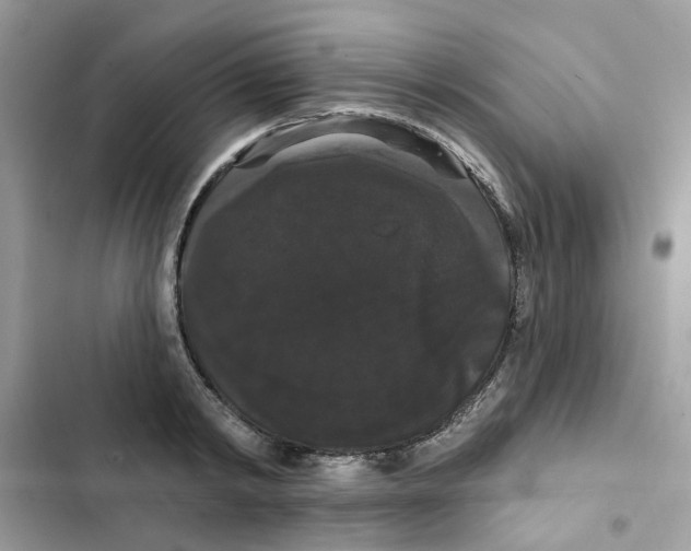 X0000101980798200808151400