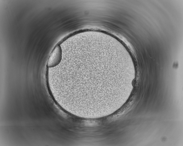 X0000101980799200808151400