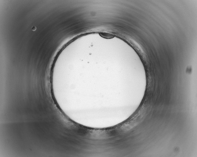 X0000101980800200808151400