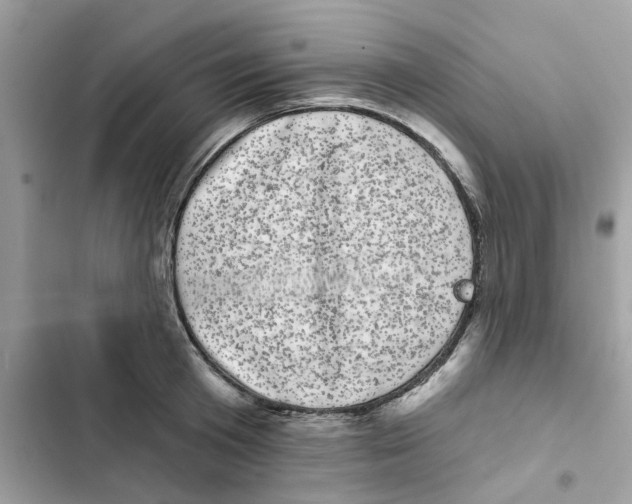 X0000101980801200808151400