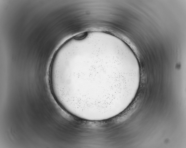 X0000101980803200808151400