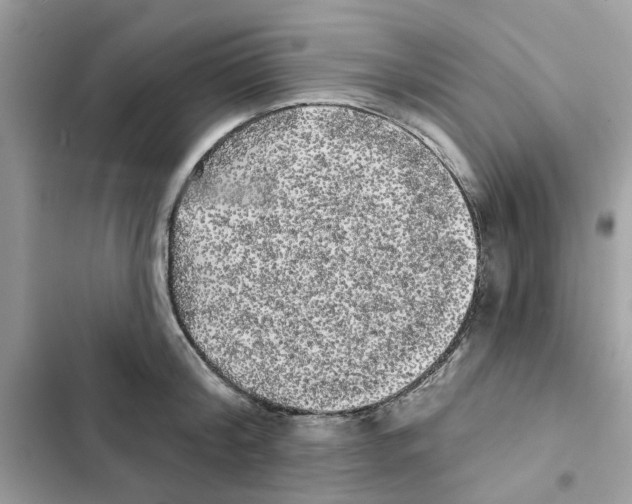 X0000101980804200808151400