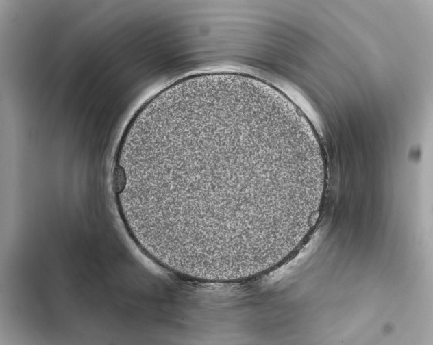 X0000101980805200808151400