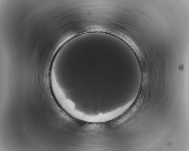 X0000101980806200808151400