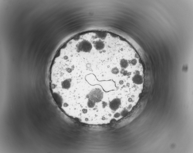 X0000101980807200808151400