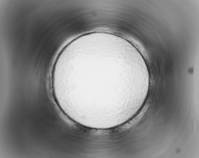 X0000101980808200808151400