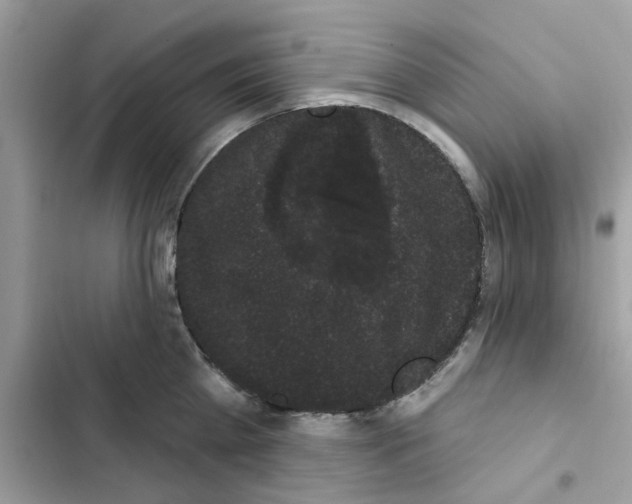 X0000101980809200808151400