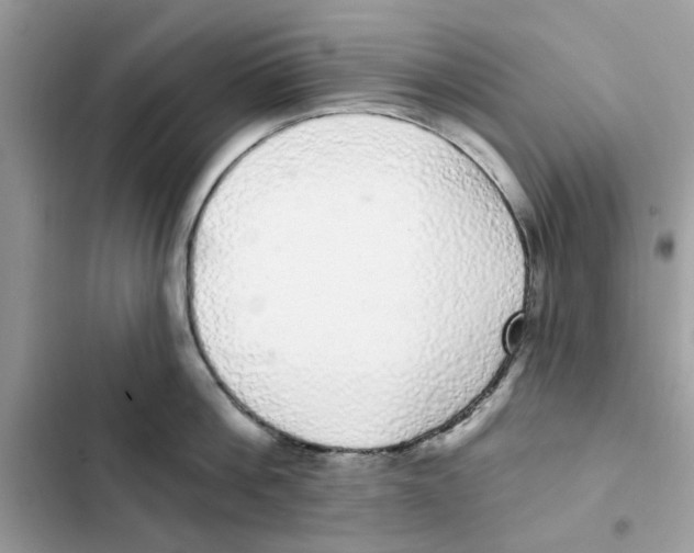 X0000101980812200808151400