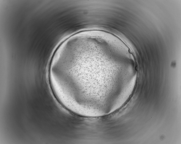 X0000101980813200808151400