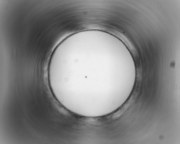 X0000101980814200808151400