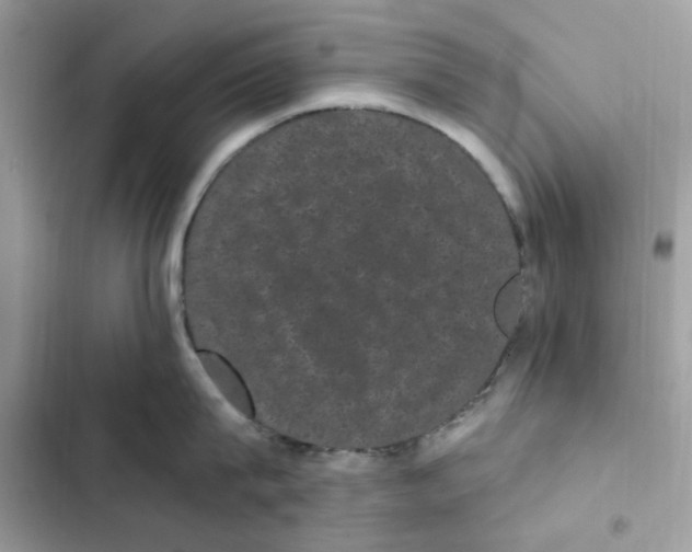 X0000101980815200808151359