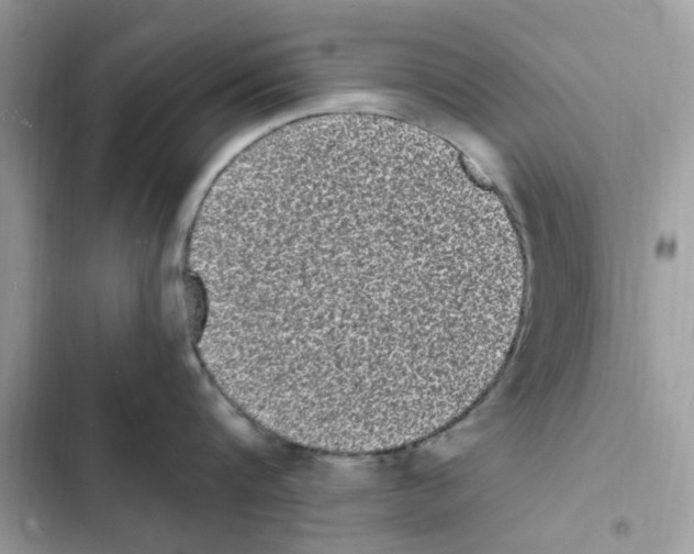 X0000101980816200808151359