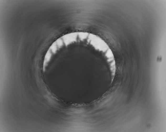 X0000101980817200808151359