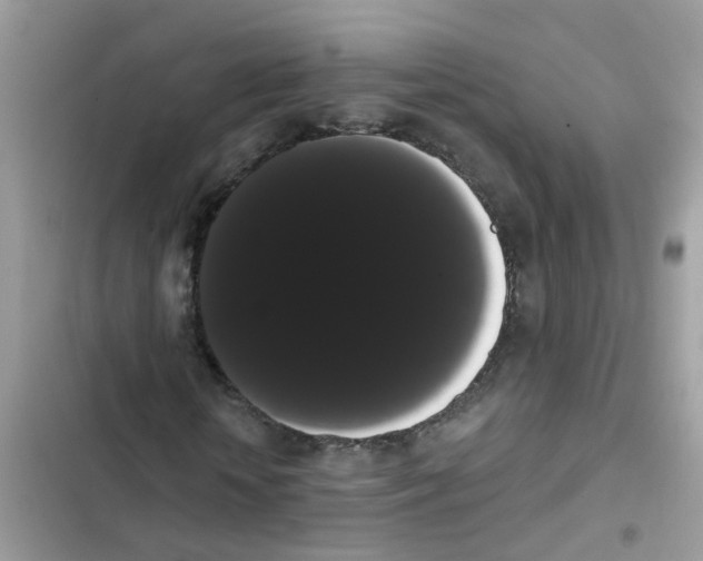 X0000101980818200808151359