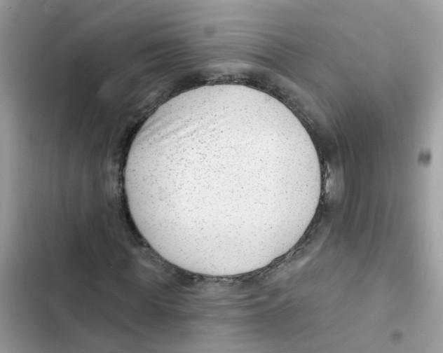 X0000101980819200808151359