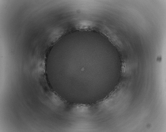 X0000101980820200808151359