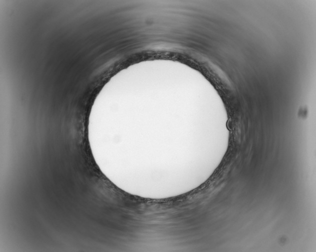 X0000101980821200808151359