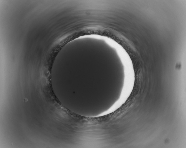 X0000101980822200808151359