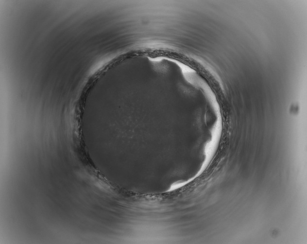 X0000101980823200808151359