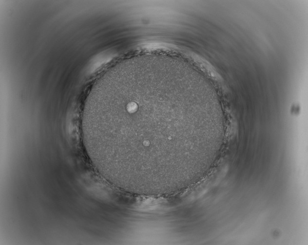 X0000101980824200808151359