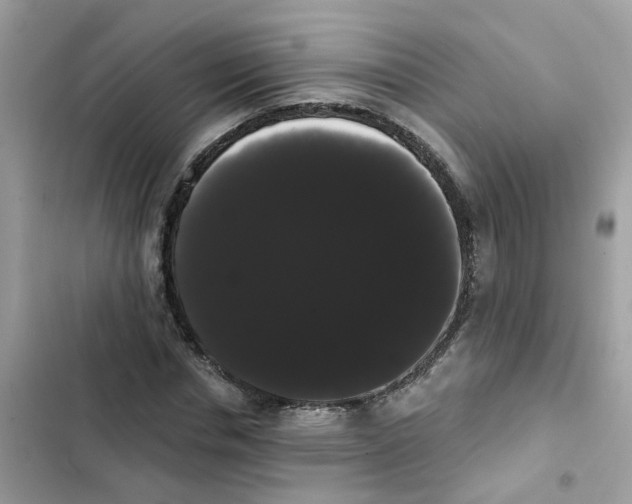 X0000101980826200808151359