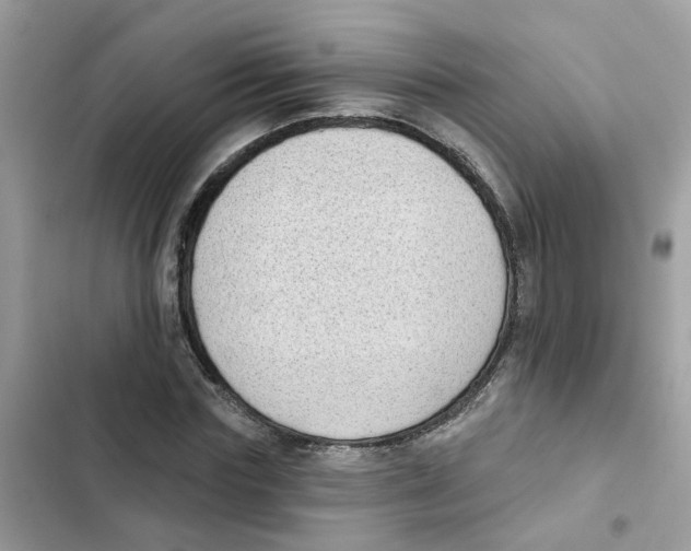 X0000101980827200808151359