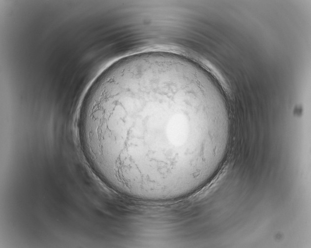 X0000101980828200808151359