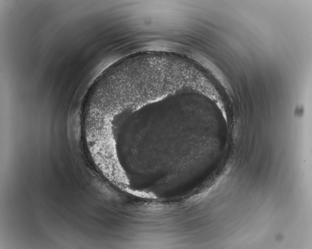 X0000101980829200808151359