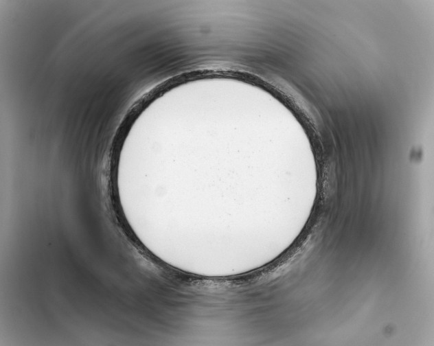 X0000101980831200808151359