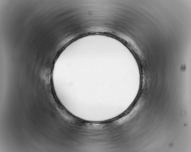 X0000101980833200808151359