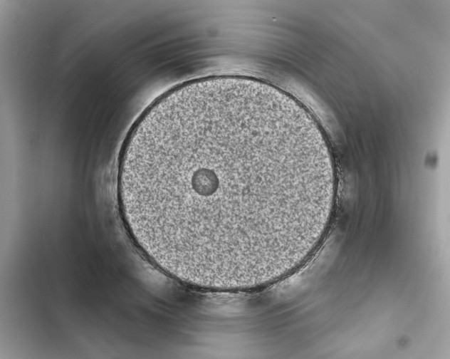 X0000101980836200808151359