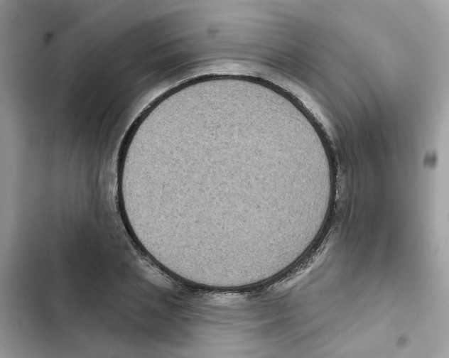 X0000101980837200808151359