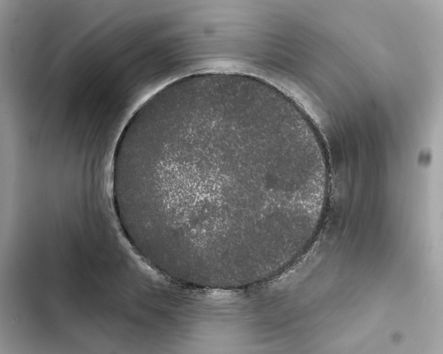 X0000101980839200808151359